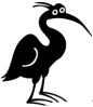 Ibis